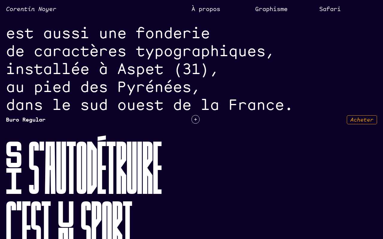 screenshot-Corentin Noyer