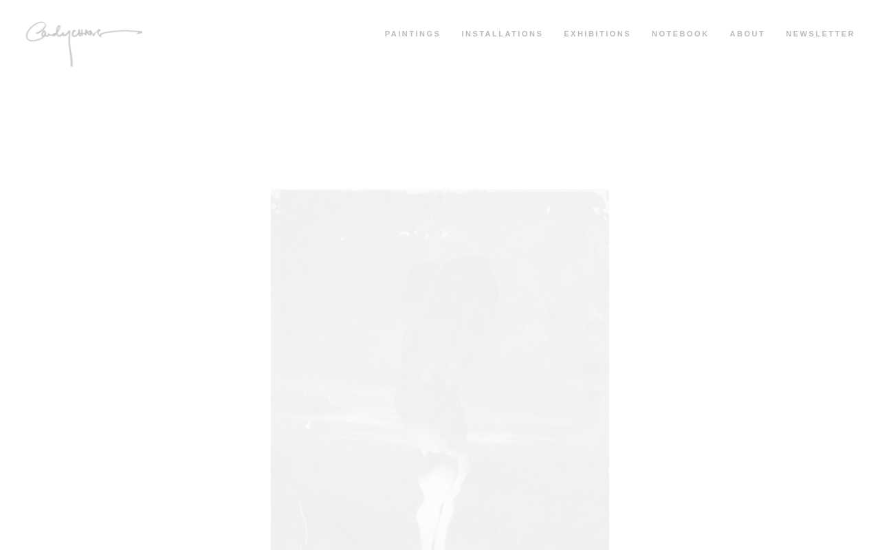 screenshot-Candy Chang