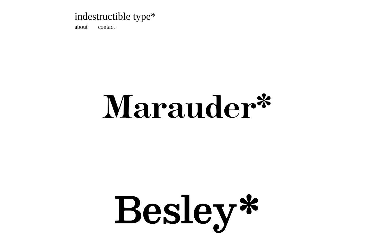 screenshot-indestructible type*